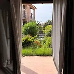 Arisha-nikiti *
