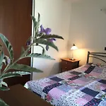 Arisha-nikiti *